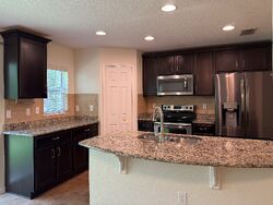 Birchcreek Dr, Wesley Chapel FL