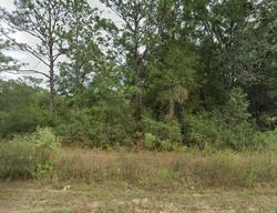 Pre-foreclosure in  Silver Lake Rd Tallahassee, FL 32310