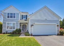 Pre-foreclosure in  Blue Heron Ct Round Lake, IL 60073