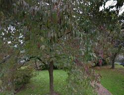 Pre-foreclosure in  Harvard Ct White Plains, NY 10605