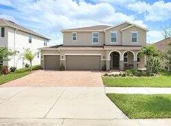 Pre-foreclosure in  Brighton Knoll Loop Riverview, FL 33579