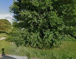 Pre-foreclosure in  Como Rd Sterling, IL 61081