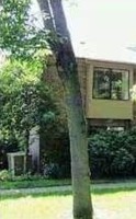  Lexington Ct, Red Bank NJ