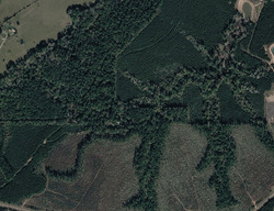  Private Road 7115, Colmesneil TX