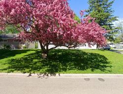  Aldine St, Saint Paul MN