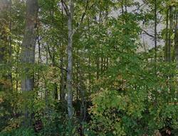 Pre-foreclosure in  E Pottery Rd Albany, IN 47320
