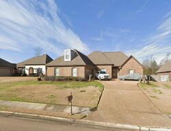 Pre-foreclosure in  TURTLE LN Brandon, MS 39047