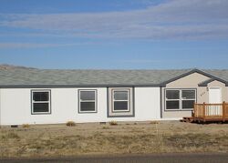 Pre-foreclosure in  Edgewater Dr Spring Creek, NV 89815