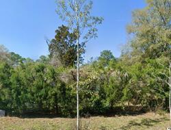 Pre-foreclosure in  Se 23rd St Gainesville, FL 32641