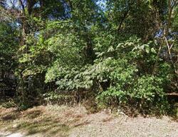 Pre-foreclosure in  New Meadow Dr Reevesville, SC 29471