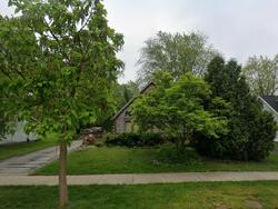 Pre-foreclosure in  W Wilson St Monee, IL 60449