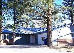 Pre-foreclosure in  N Eagar St Eagar, AZ 85925