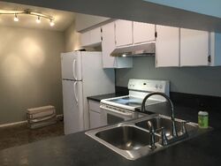  Magnolia Ridge Cir , Palm Harbor FL