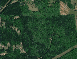 Pre-foreclosure in  Edwards Rd Ackerman, MS 39735