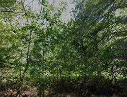 Pre-foreclosure in  Winburn Dr Greenwood, LA 71033