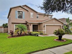 Pre-foreclosure in  BOYETTE CREEK BLVD Riverview, FL 33569