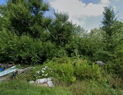 Pre-foreclosure in  Stanley Ave Alliance, OH 44601