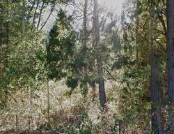 Pre-foreclosure in  Placer Rd Wolf Creek, OR 97497