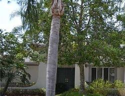  Glenridge Ct, Palm Harbor FL