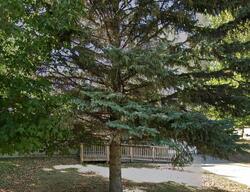 Pre-foreclosure in  Mark Ave N Fosston, MN 56542