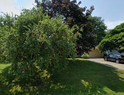  Stout Ave, Grosse Ile MI