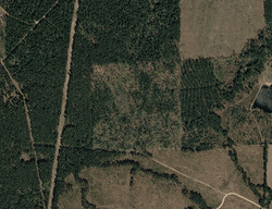 Pre-foreclosure in  Grant County 14 Grapevine, AR 72057
