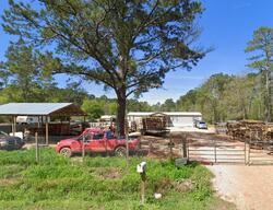 Pre-foreclosure in  Cosner Ln Loranger, LA 70446