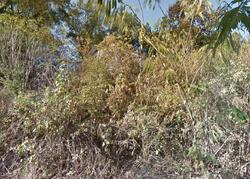 Pre-foreclosure in  Rock School Rd Harpersville, AL 35078