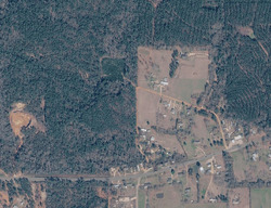 Pre-foreclosure in  Snyder Rd Frisco City, AL 36445