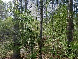 Pre-foreclosure in  Forsyth Dr Cumming, GA 30028