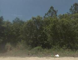 Pre-foreclosure in  Hacklebarney Ln Blackshear, GA 31516