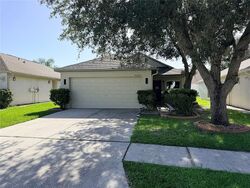 Pre-foreclosure in  Tabogi Trl Wesley Chapel, FL 33545