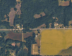 Pre-foreclosure in  W Long Lake Rd Orleans, MI 48865