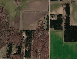 Pre-foreclosure in  S Bliss Rd Sumner, MI 48889
