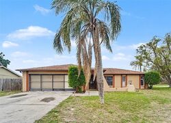  Persimmon Dr, Holiday FL