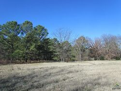 Pre-foreclosure in  Fm 16 E Tyler, TX 75706