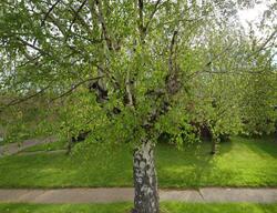 Pre-foreclosure in  Mcclelland Ave Erie, PA 16510