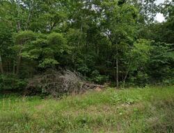  Country Heritage Dr, Ash Flat AR