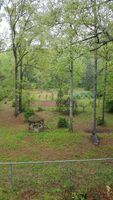 Pre-foreclosure in  COTTON INDIAN CREEK RD Mcdonough, GA 30252