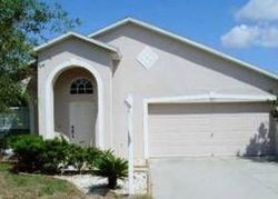 Sheriff-sale Listing in SUNSET BEACH CT VALRICO, FL 33594