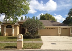 Sheriff-sale in  SAVOY CIR Lutz, FL 33558