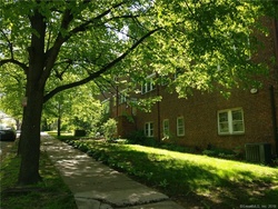 Short-sale Listing in PROSPECT ST APT C7 NEW HAVEN, CT 06511