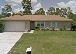 Sheriff-sale Listing in HEMLOCK TRAIL LOOP OCALA, FL 34472