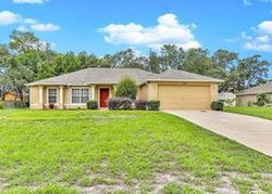 Sheriff-sale Listing in APPLE ORCHARD RD SPRING HILL, FL 34608