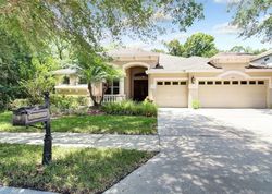  Thornton Palms Dr, Tampa FL