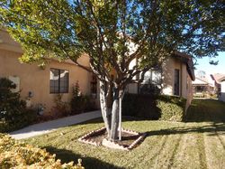 Short-sale in  ARTHUR ST Apple Valley, CA 92308