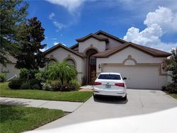  Flora Springs Dr, Riverview FL
