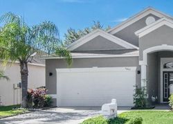 Short-sale in  SIENA DR Lutz, FL 33559