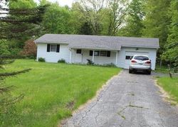 Sheriff-sale Listing in MCMICHAELS CT STROUDSBURG, PA 18360