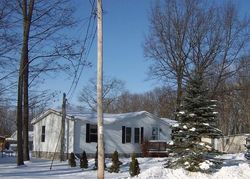 Sheriff-sale in  THRUSH DR Lakeview, MI 48850